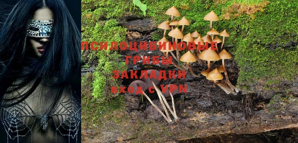 твердый Тында