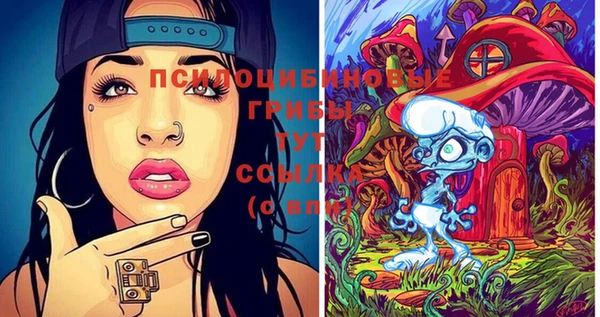 твердый Белоозёрский